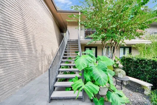 a view of a garden with plants and large trees