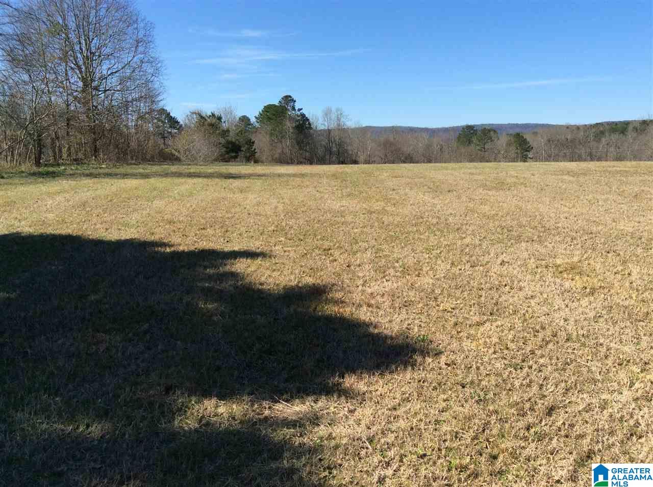 0 Coats Bend Road, Unit 1 Gadsden, AL 35901 - Photo 20 of 20