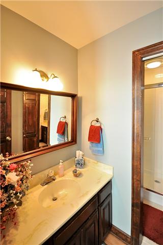 328 View Ridge Drive Goodlettsville, TN 37072 - Photo 13 of 20 Master Bath with Separate Double Vanities.