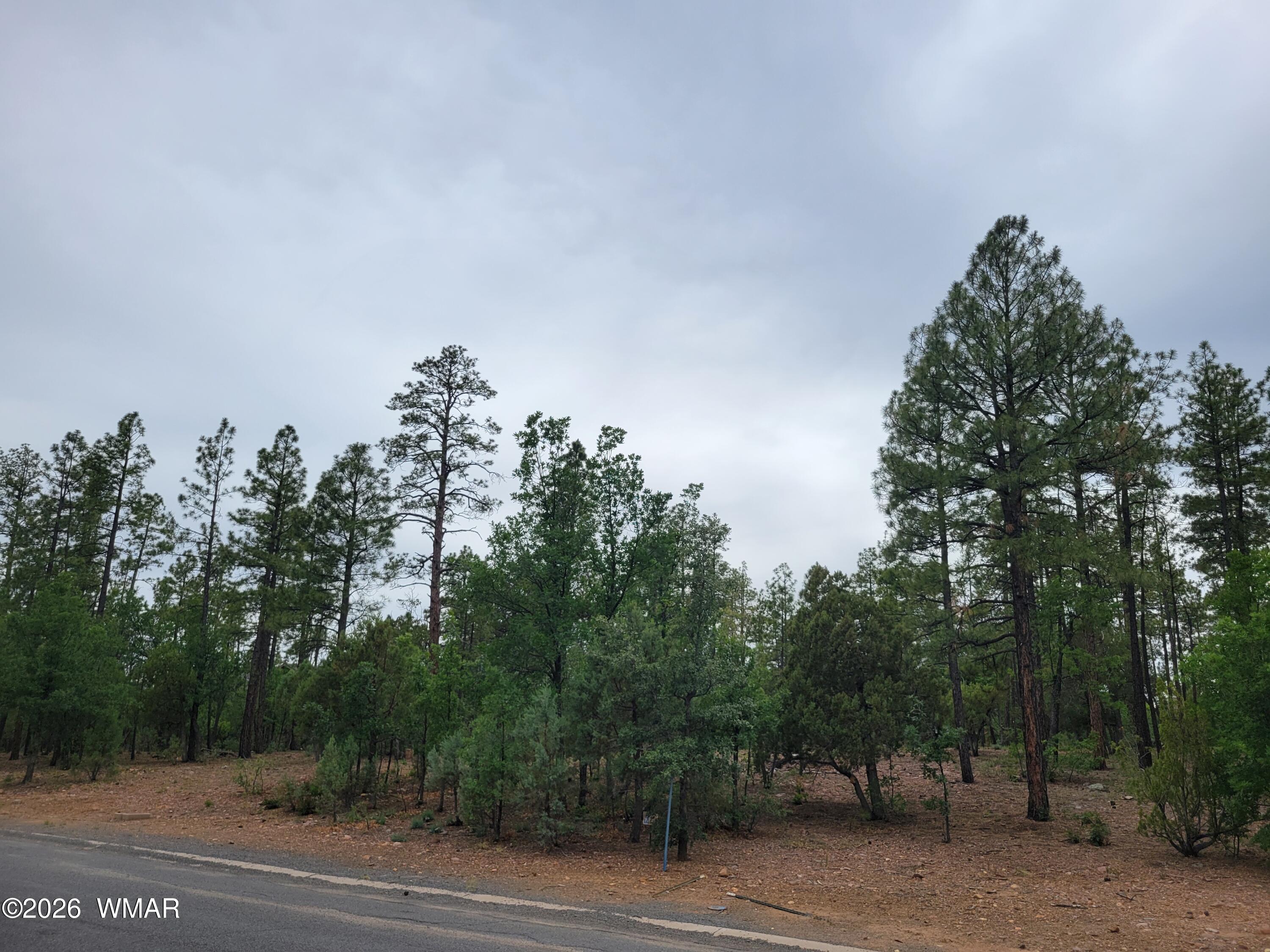 2425 South Timber Pine Lane Pinetop, AZ 85935 - Photo 7 of 16 a backyard of a house with trees