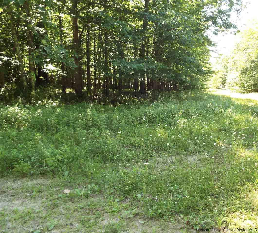 Tbd Tbd Charles Road Catskill, NY 12414 - Photo 11 of 14 Photo 11