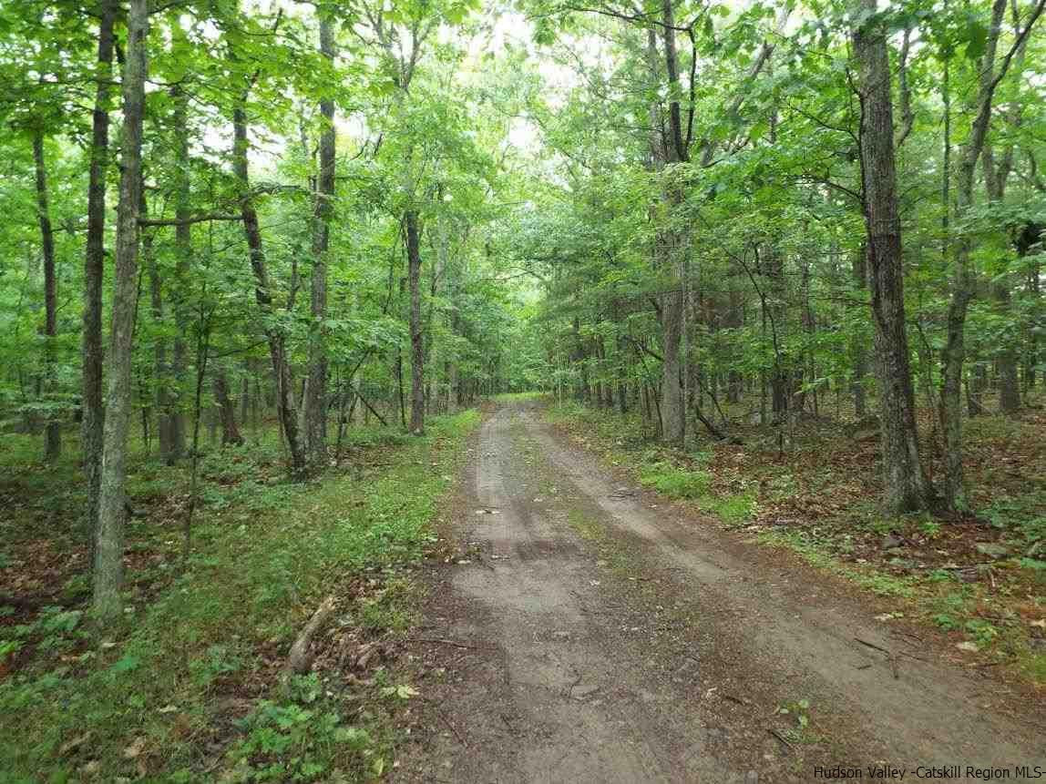 Tbd Tbd Charles Road Catskill, NY 12414 - Photo 12 of 14 Photo 12