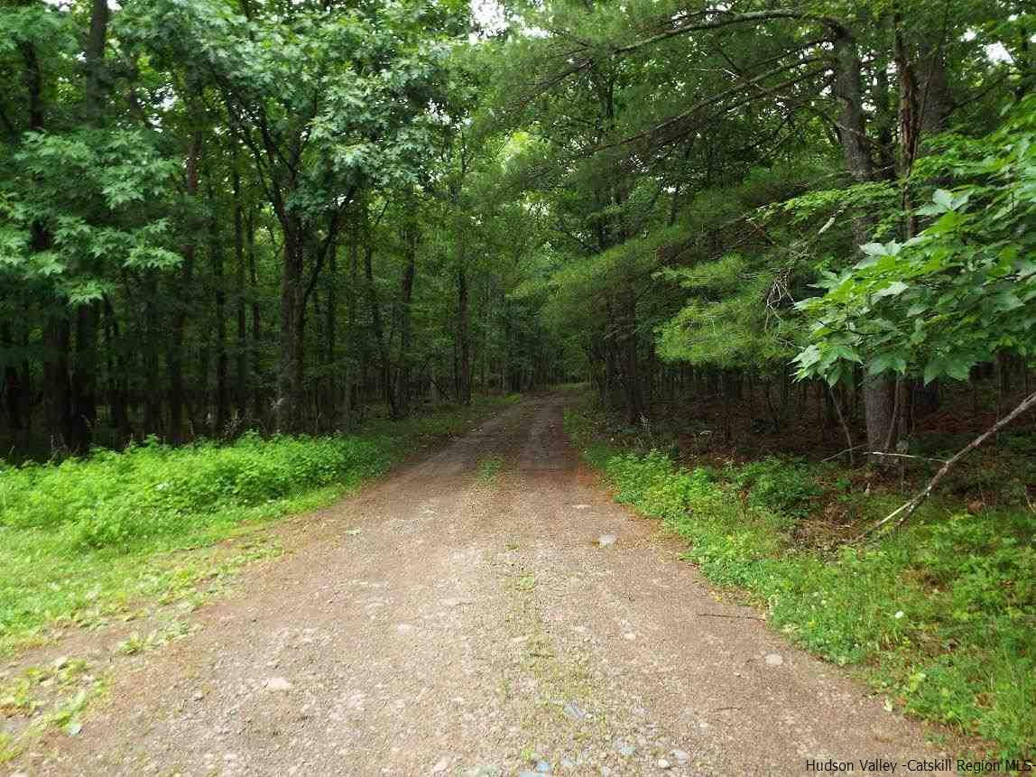 Tbd Tbd Charles Road Catskill, NY 12414 - Photo 13 of 14 Photo 13