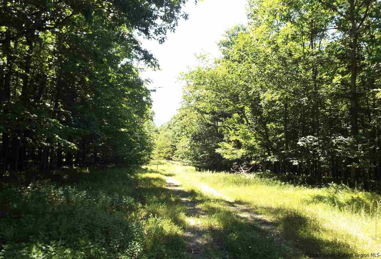 Tbd Tbd Charles Road Catskill, NY 12414 - Photo 2 of 14 Photo 2