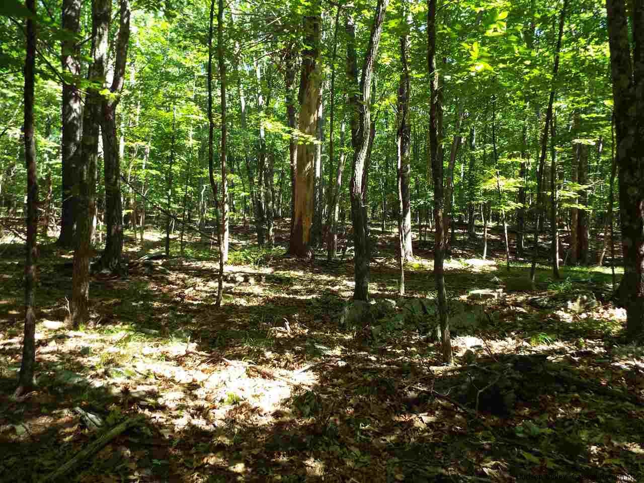 Tbd Tbd Charles Road Catskill, NY 12414 - Photo 3 of 14 Photo 3