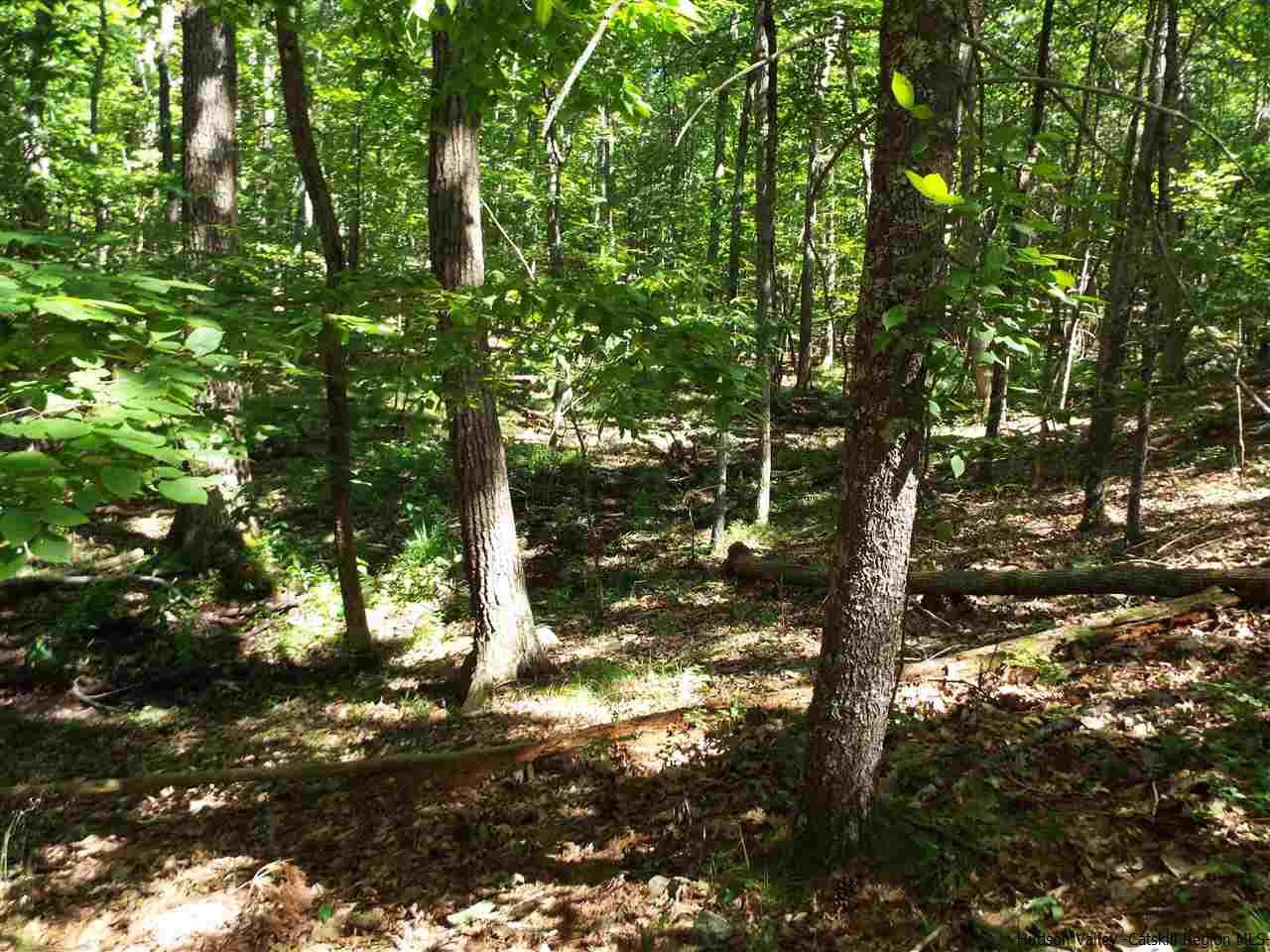 Tbd Tbd Charles Road Catskill, NY 12414 - Photo 4 of 14 Photo 4