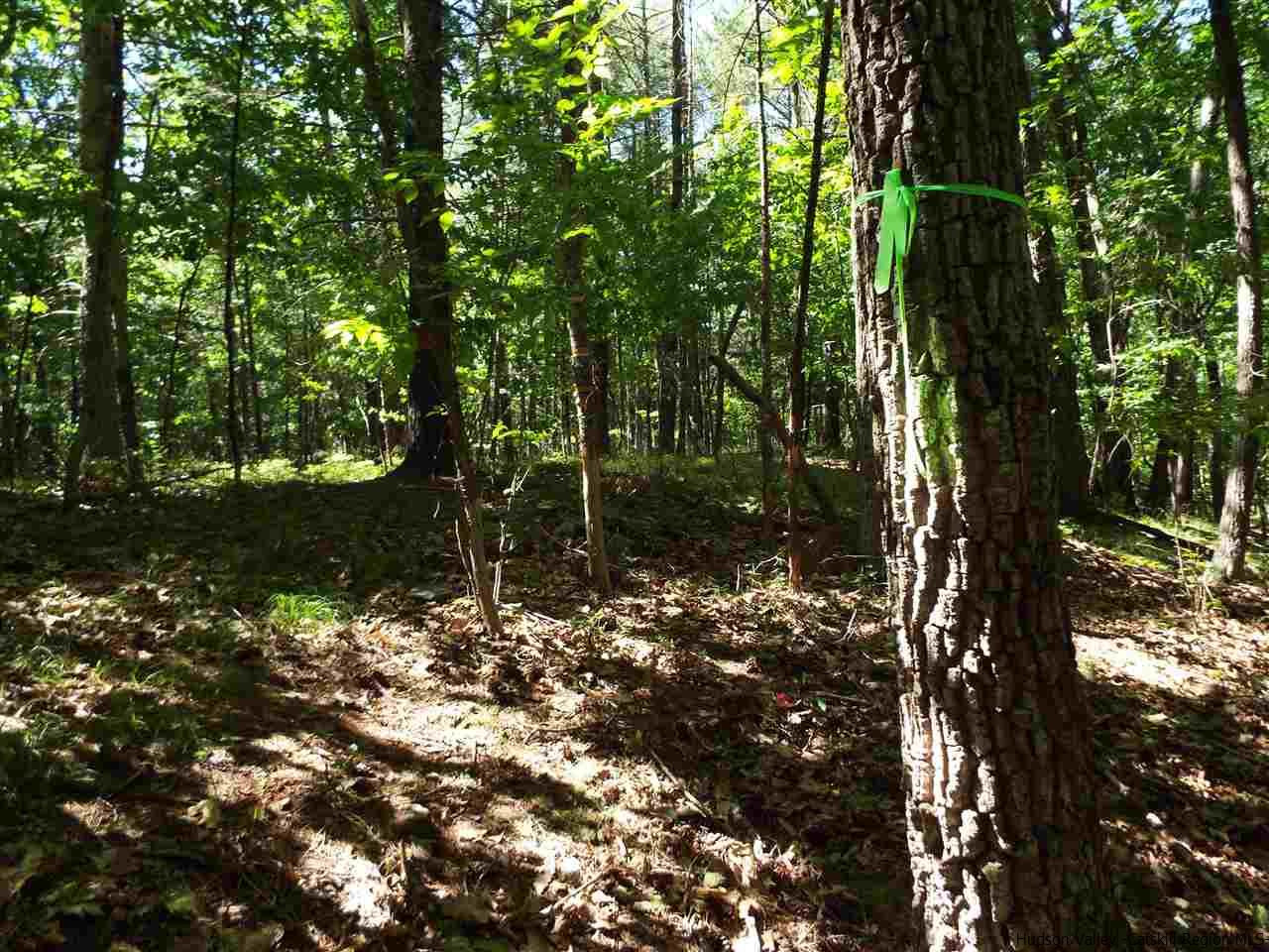Tbd Tbd Charles Road Catskill, NY 12414 - Photo 5 of 14 Photo 5
