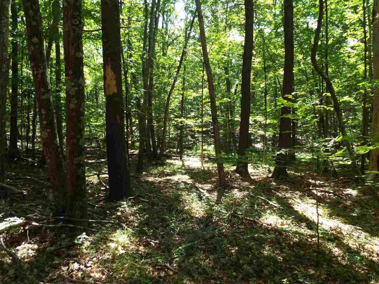Tbd Tbd Charles Road Catskill, NY 12414 - Photo 6 of 14 Photo 6