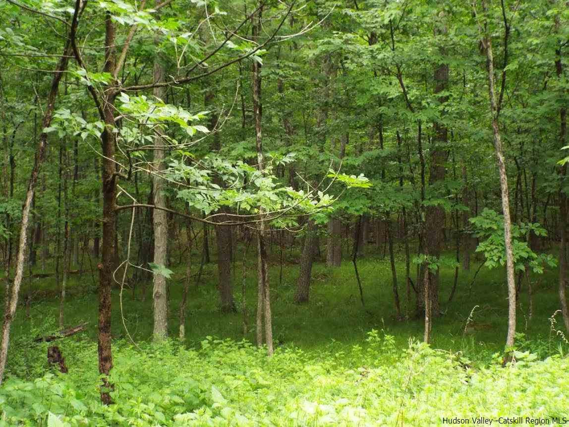 Tbd Tbd Charles Road Catskill, NY 12414 - Photo 7 of 14 Photo 7