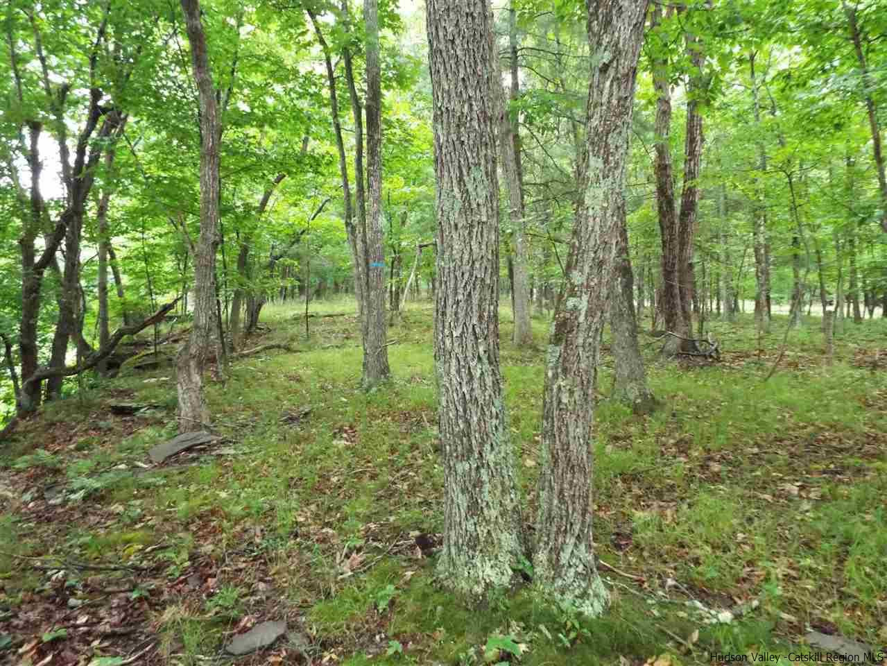 Tbd Tbd Charles Road Catskill, NY 12414 - Photo 8 of 14 Photo 8