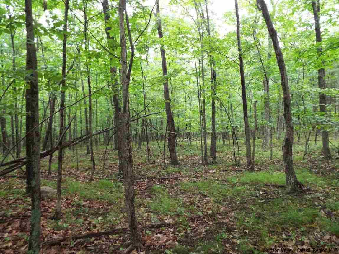 Tbd Tbd Charles Road Catskill, NY 12414 - Photo 9 of 14 Photo 9