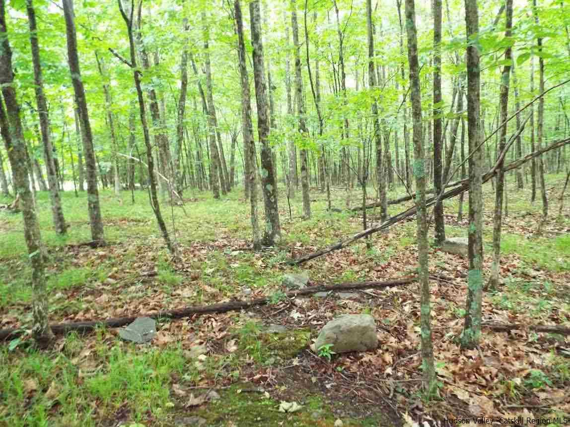 Tbd Tbd Charles Road Catskill, NY 12414 - Photo 10 of 14 Photo 10