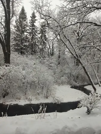 $359,900 | 2497 County Road 86 Southeast, Alexandria, MN 56308