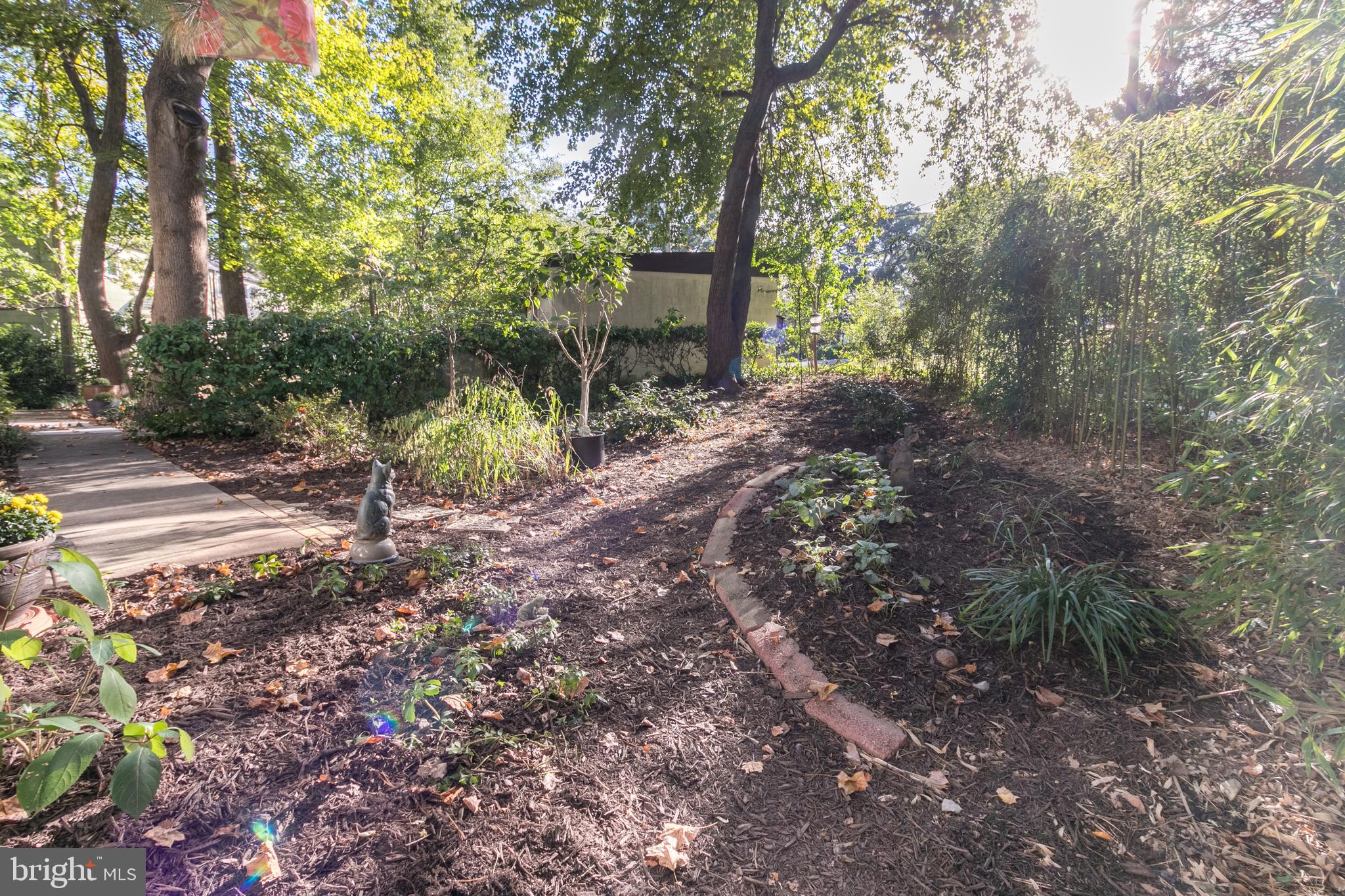 7 Crescent Road, Unit E Greenbelt, MD 20770 - Photo 3 of 25 Peaceful yard with plants galore!
