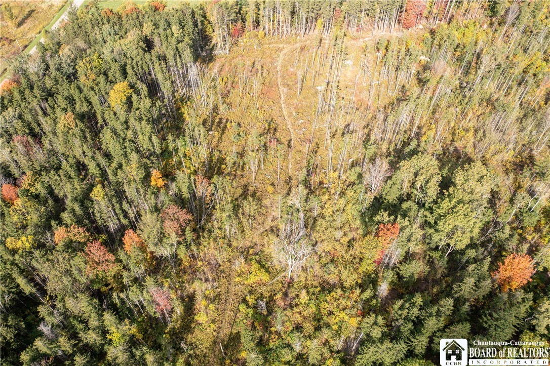 8170 Campbell Road Portland, NY 14769 - Photo 11 of 15