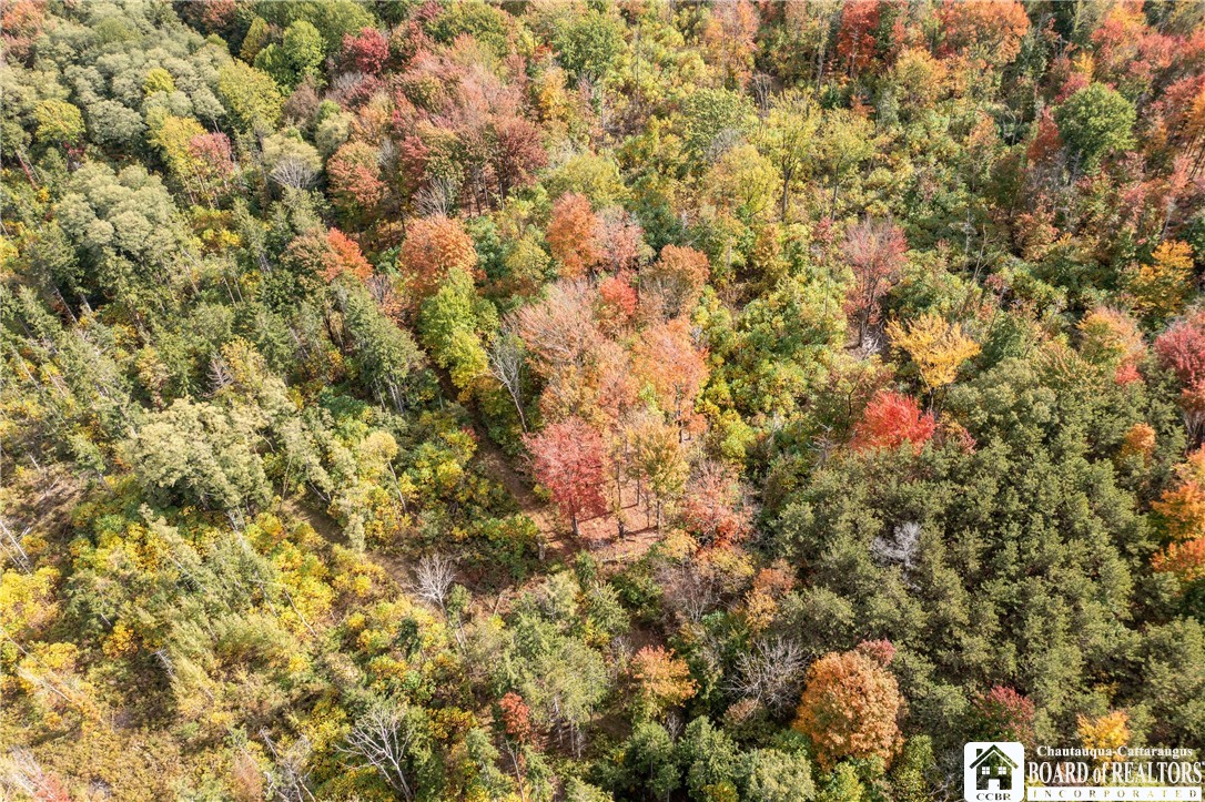 8170 Campbell Road Portland, NY 14769 - Photo 13 of 15