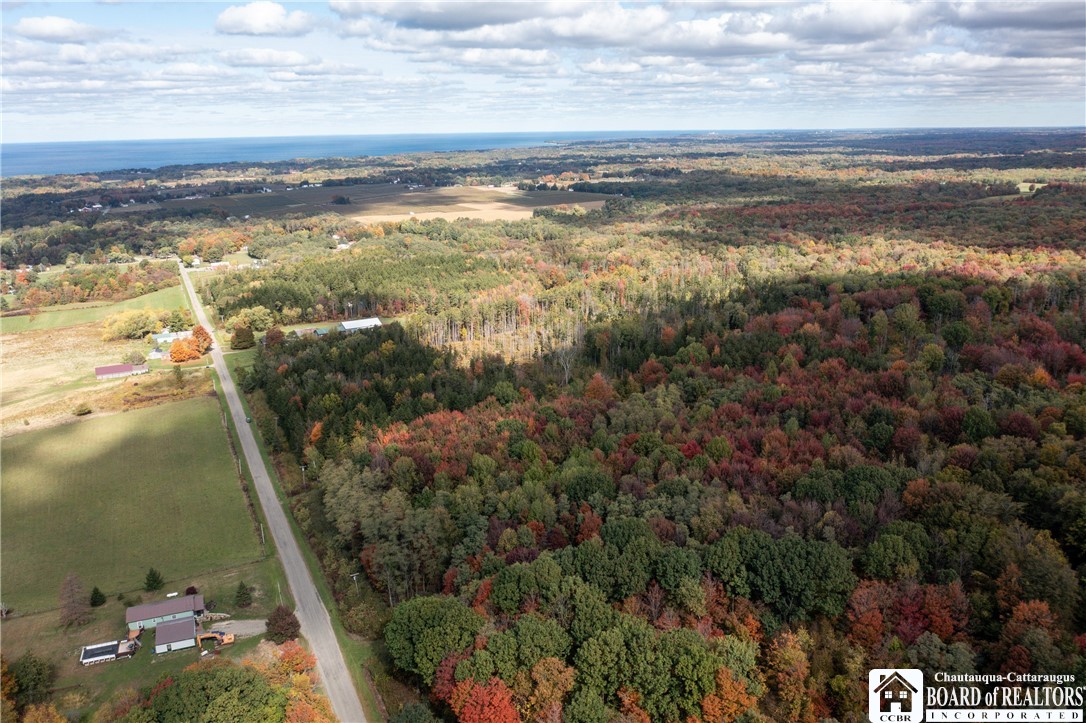 8170 Campbell Road Portland, NY 14769 - Photo 4 of 15