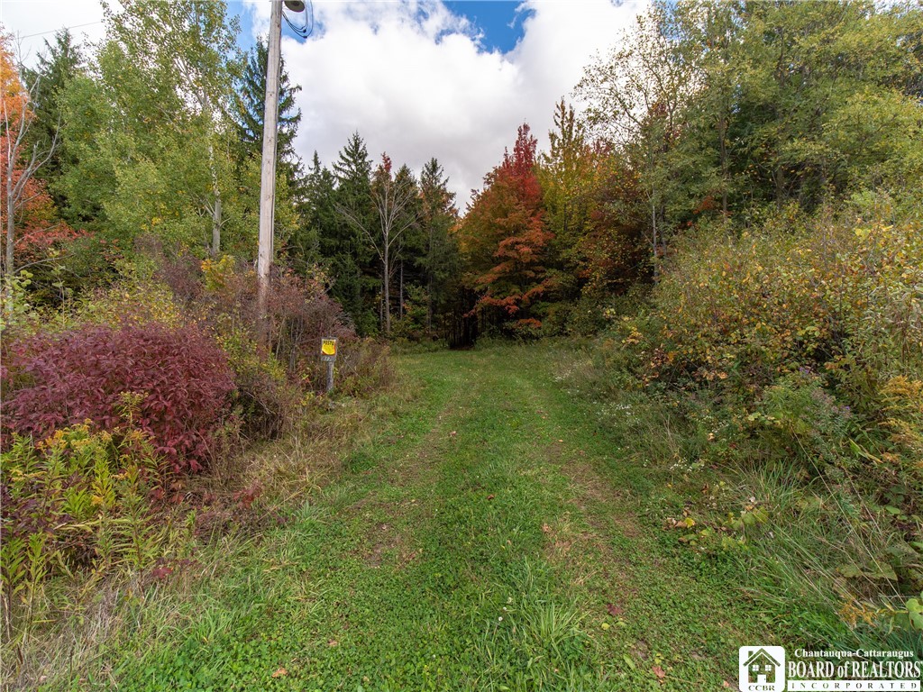 8170 Campbell Road Portland, NY 14769 - Photo 6 of 15