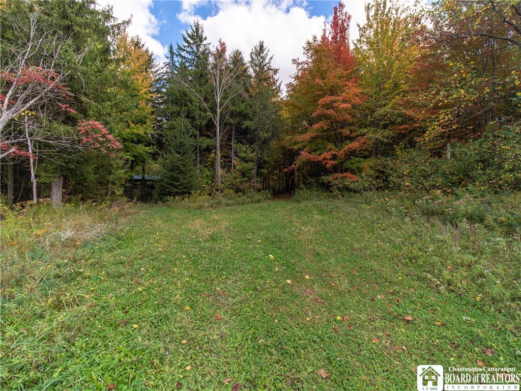 8170 Campbell Road Portland, NY 14769 - Photo 7 of 15