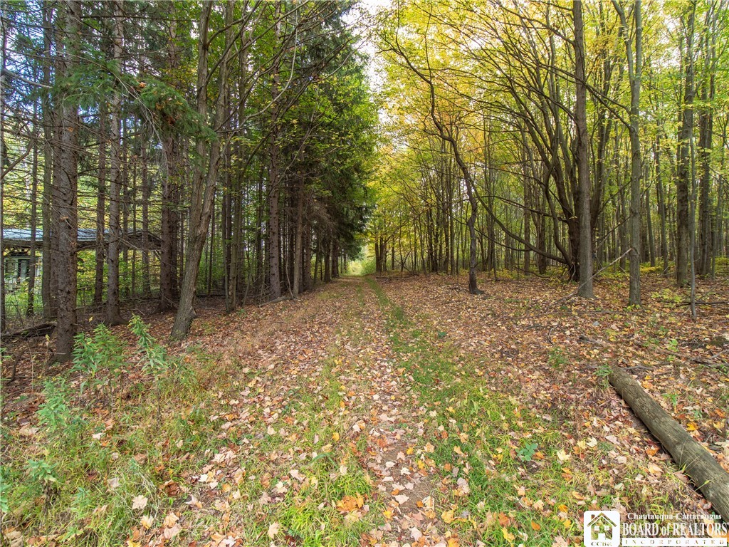 8170 Campbell Road Portland, NY 14769 - Photo 8 of 15