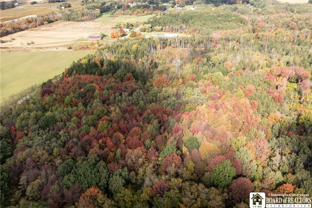 8170 Campbell Road Portland, NY 14769 - Photo 9 of 15