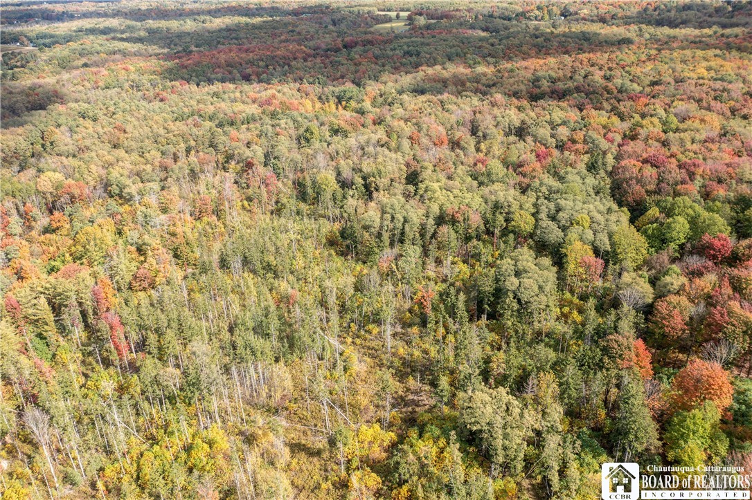 8170 Campbell Road Portland, NY 14769 - Photo 10 of 15