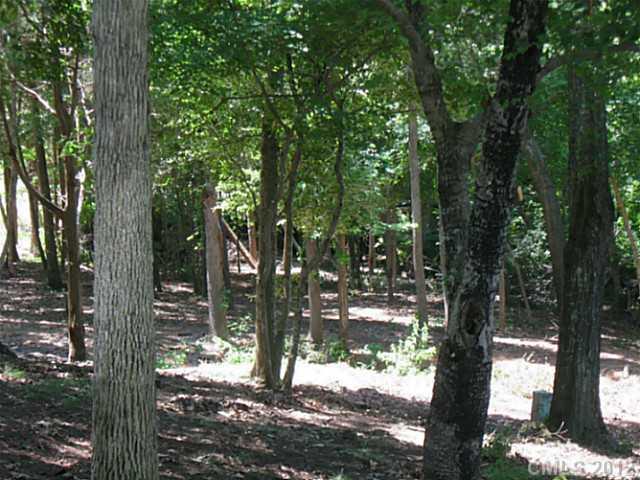 671 Bonum Road Lake Wylie, SC 29710 - Photo 3 of 4 Gallery Image 3