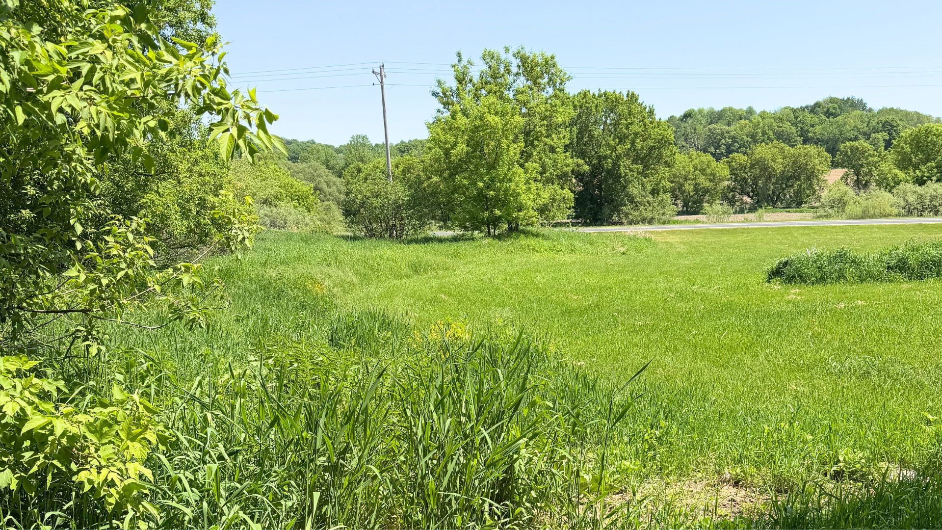 N8511 County Rd K Knapp, WI 54749 - Photo 14 of 51