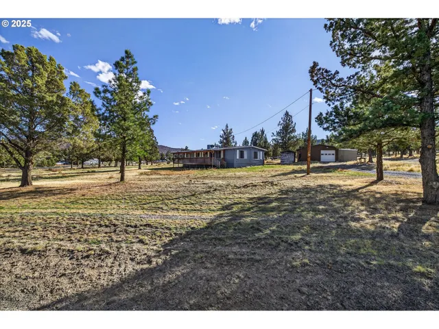 a view of a yard with a tree