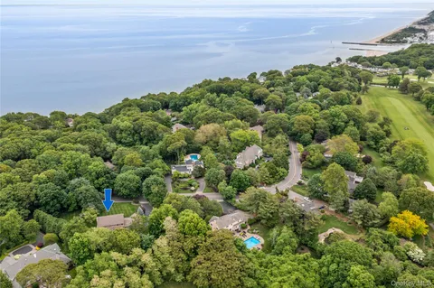 a picture of street with lots of trees