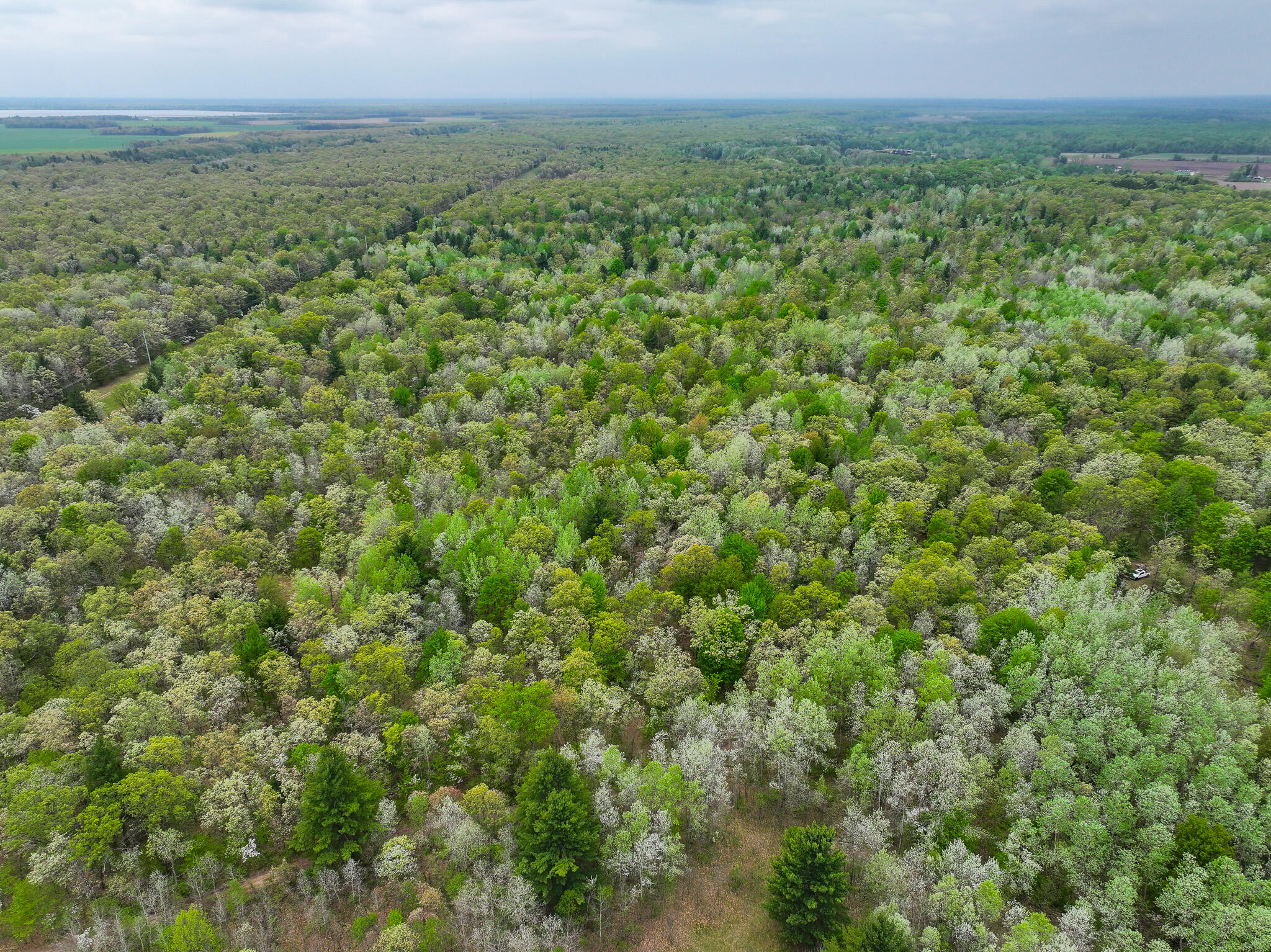12.19 Rapp Drive Twin Lake, MI 49457 - Photo 7 of 48 DJI_20260512131737_0519_D