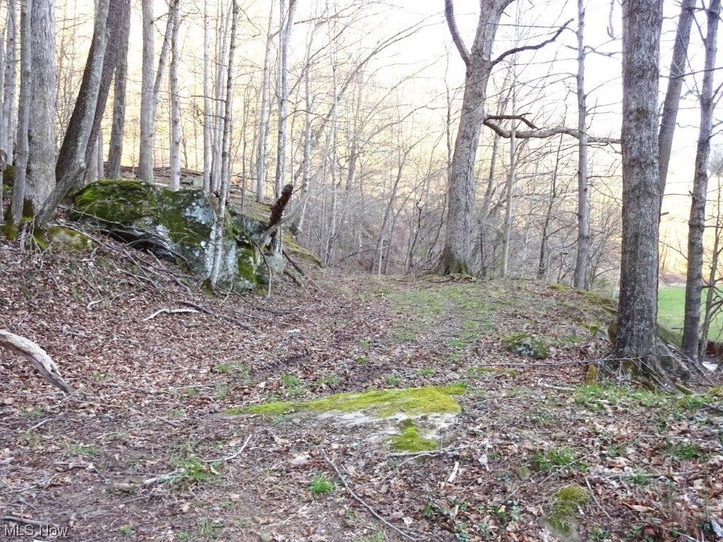 0 Triplett Road Spencer, WV 25276 - Photo 30 of 34