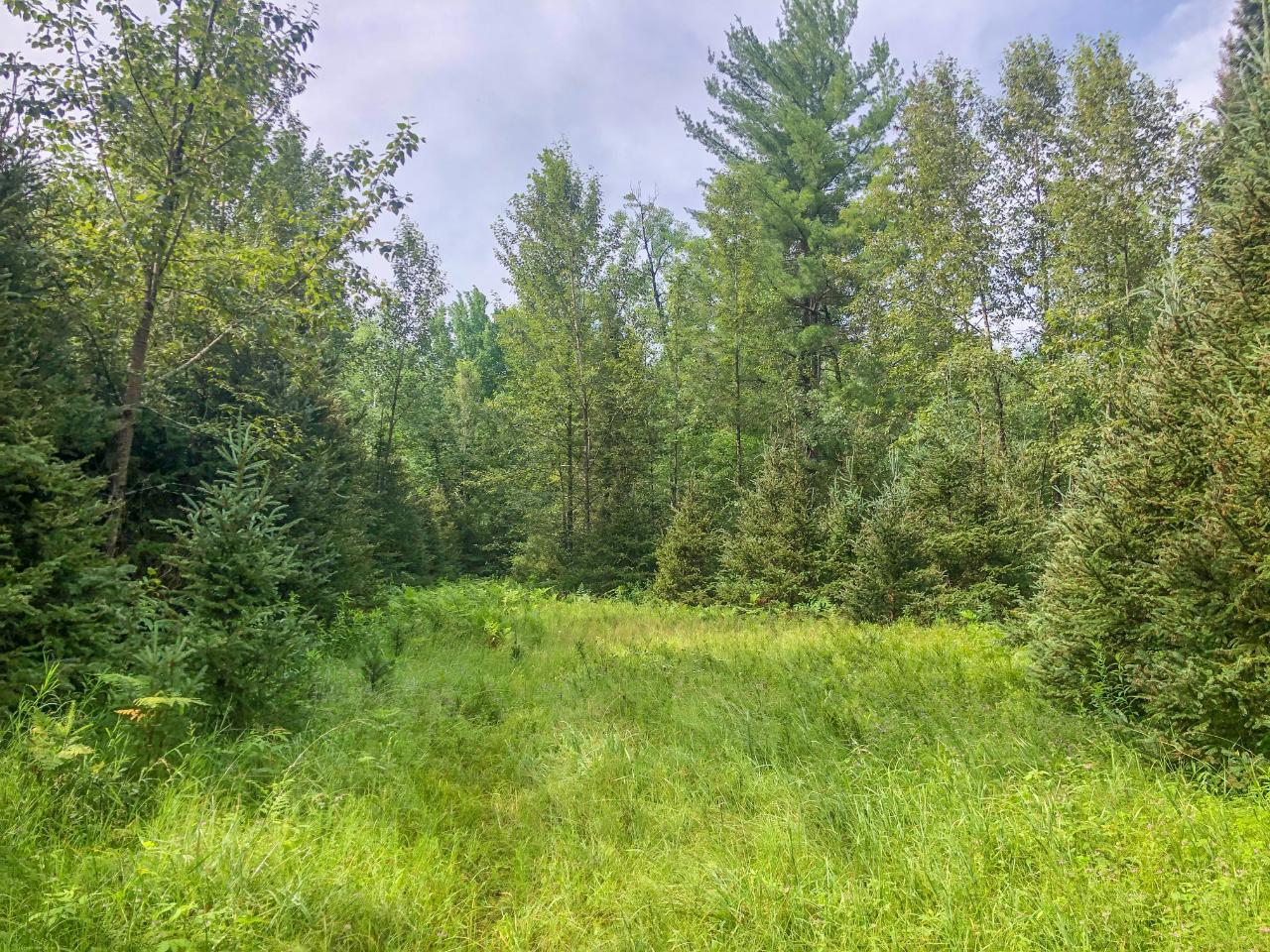 Lot #4 River Forest Road Florence, WI 54121 - Photo 6 of 6 Gallery Image 6