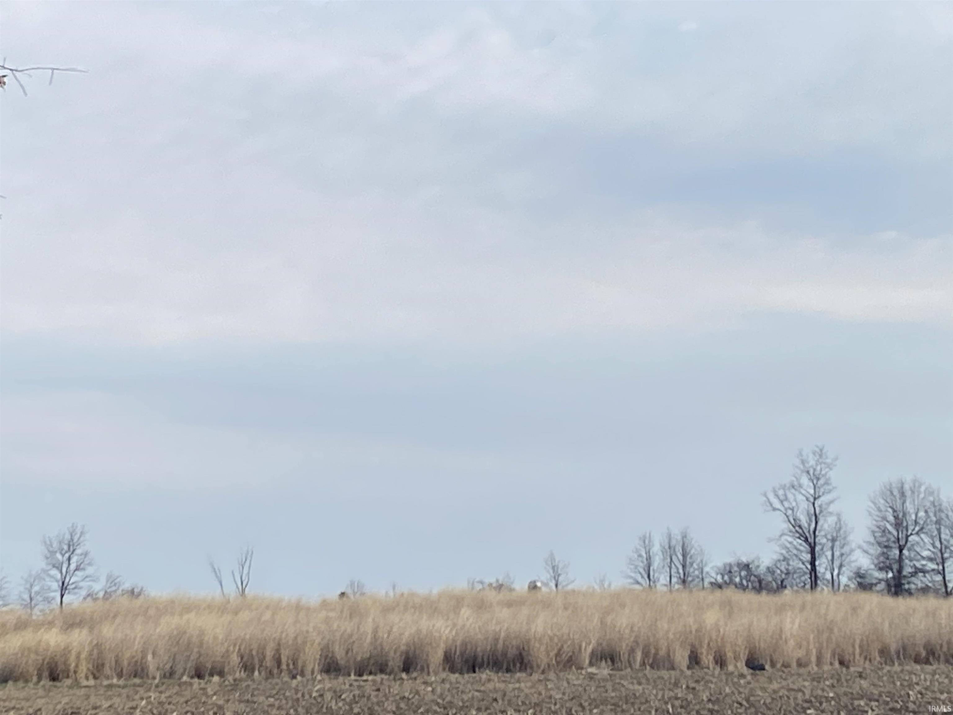 900 South S Warren, IN 46792 - Photo 3 of 5