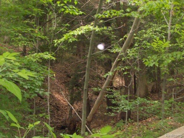 5030 Brown Road Avoca, MI 48006 - Photo 28 of 30 5030 Brown Rd ravine or woods fr