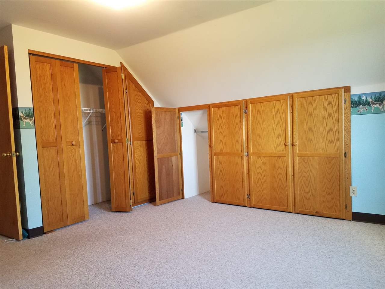 11700 Fergus Road St. Charles, MI 48655 - Photo 35 of 40 50000262-34.JPG