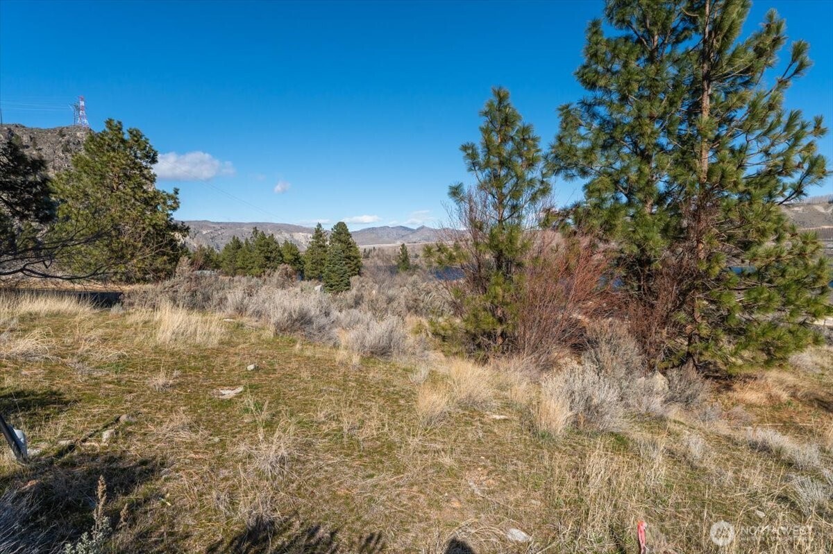 15315 Lakeview Street Entiat, WA 98822 - Photo 9 of 35 a view of a lake with a house in a background