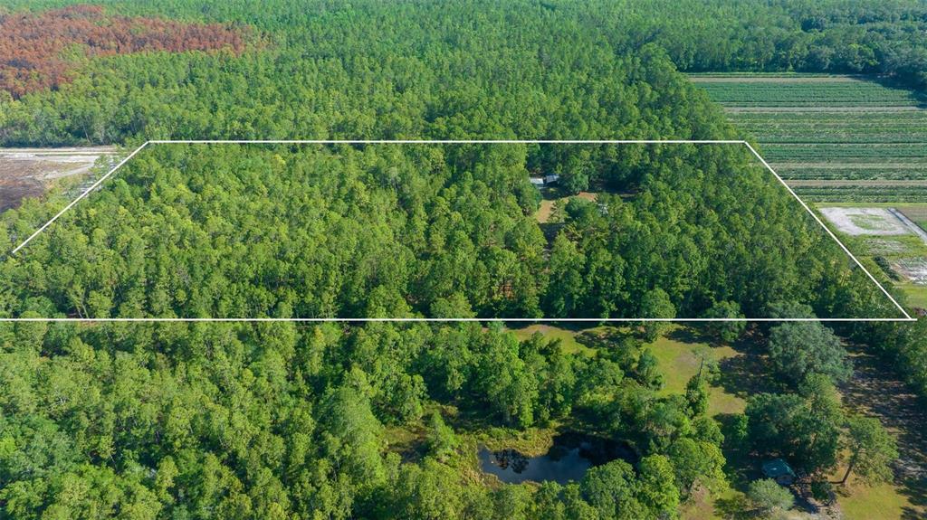 11521 Southeast 1st Street Road Silver Springs, FL 34488 - Photo 1 of 50