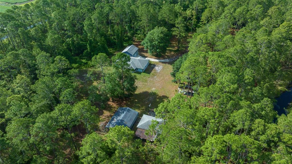 11521 Southeast 1st Street Road Silver Springs, FL 34488 - Photo 49 of 53
