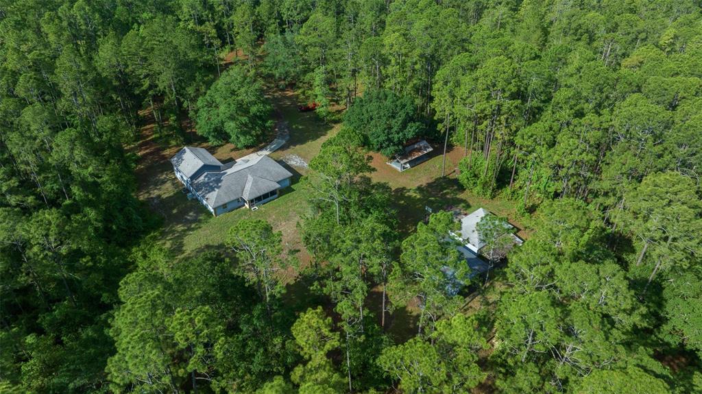 11521 Southeast 1st Street Road Silver Springs, FL 34488 - Photo 50 of 53