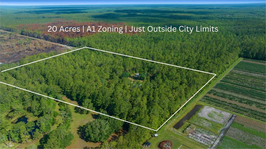 11521 Southeast 1st Street Road Silver Springs, FL 34488 - Photo 52 of 53