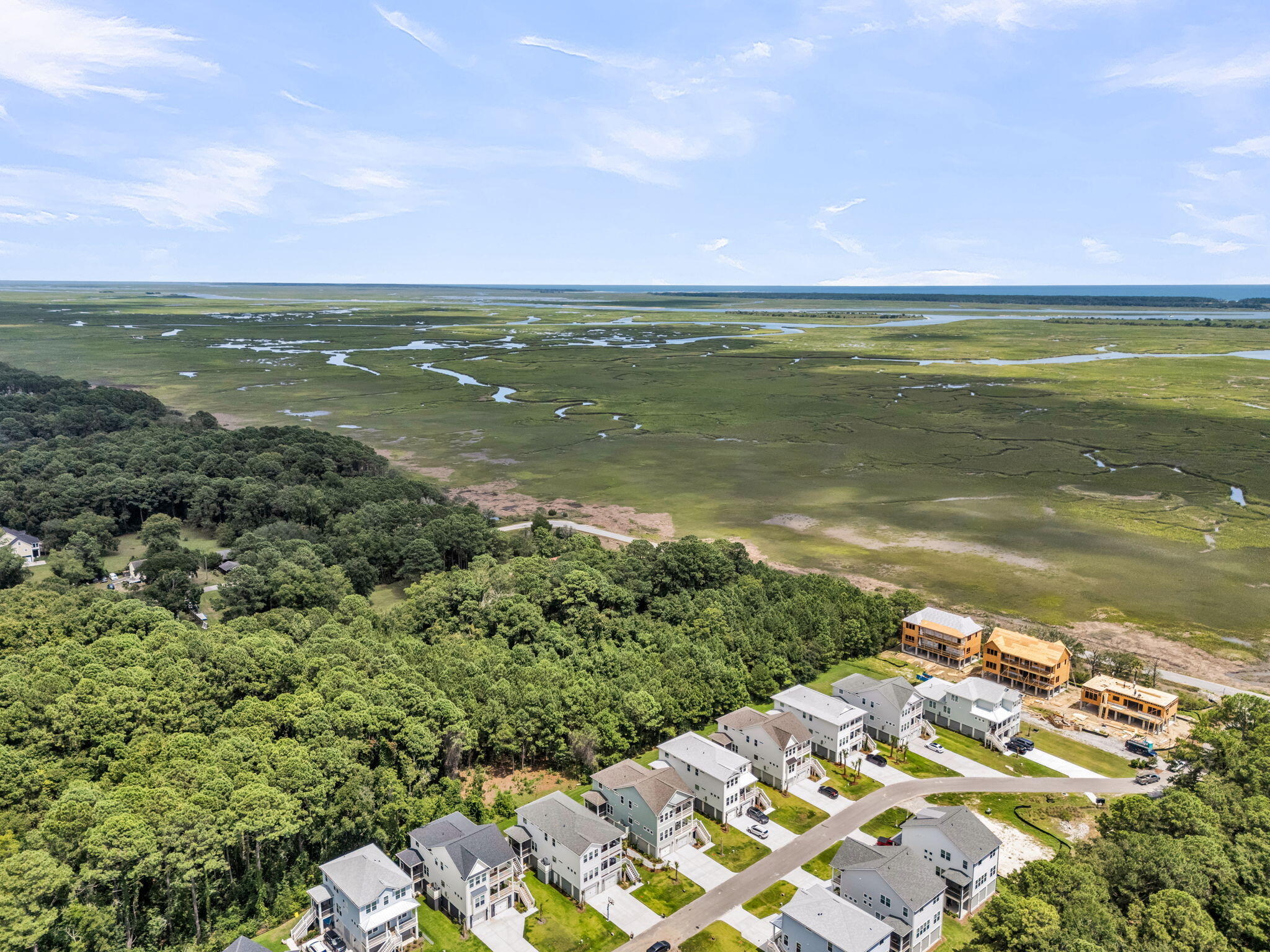 1068 Capersview Court Awendaw, SC 29429 - Photo 47 of 54