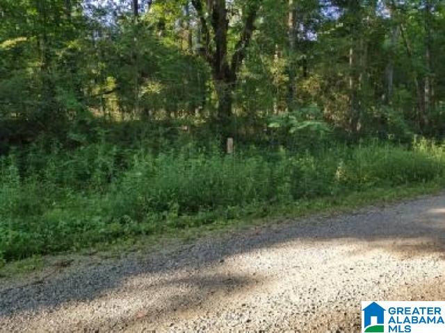 270 Oxford Road Lincoln, AL 35096 - Photo 11 of 21