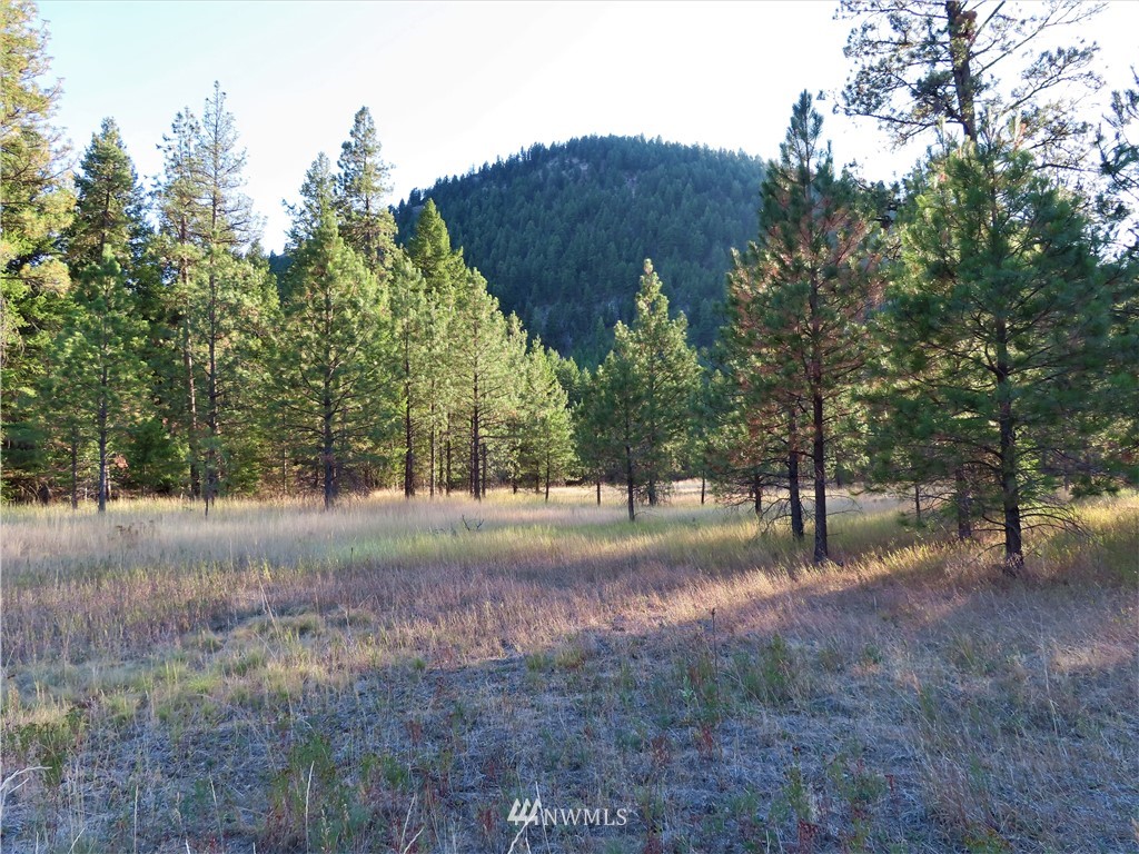 -tbd Toroda Creek Road Curlew, WA 99118 - Photo 1 of 29 Gallery Image 1
