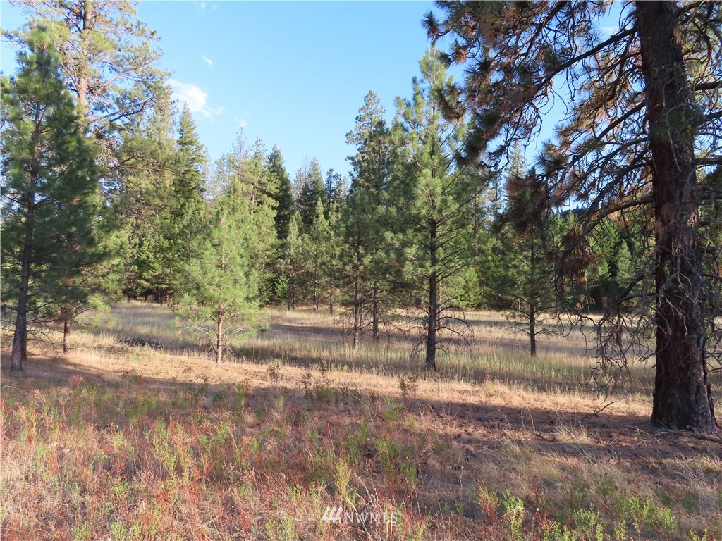 -tbd Toroda Creek Road Curlew, WA 99118 - Photo 2 of 29 Gallery Image 2