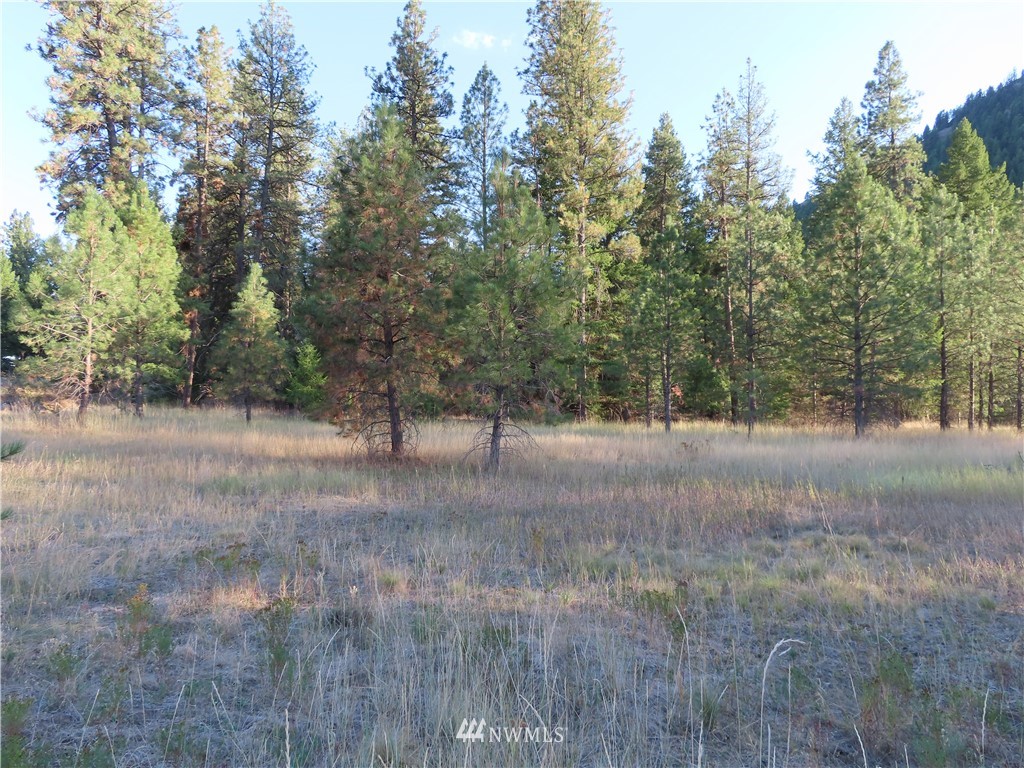 -tbd Toroda Creek Road Curlew, WA 99118 - Photo 11 of 29 Gallery Image 11