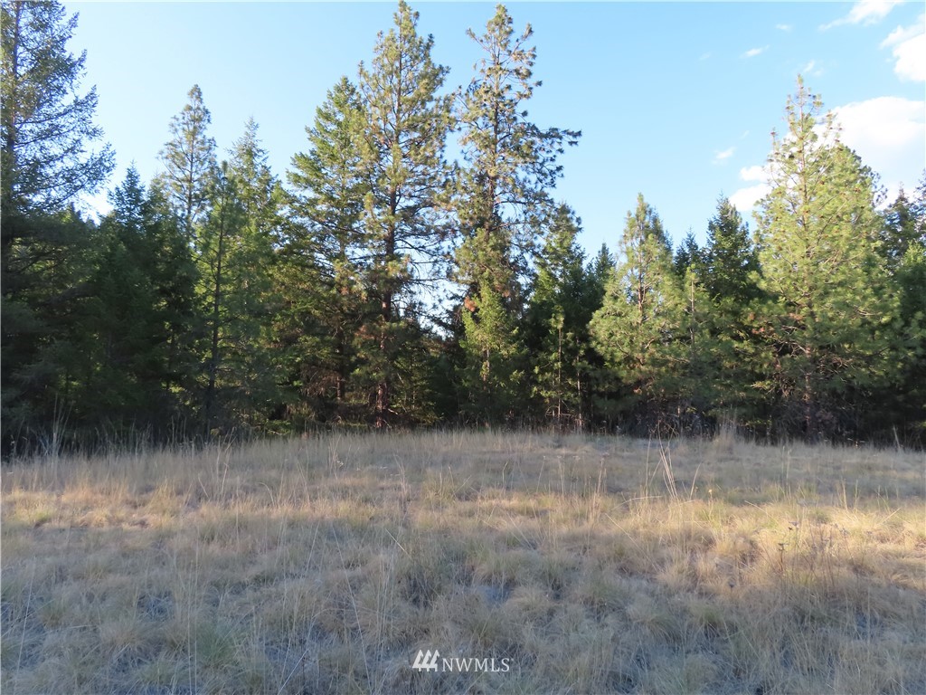 -tbd Toroda Creek Road Curlew, WA 99118 - Photo 13 of 29 Gallery Image 13