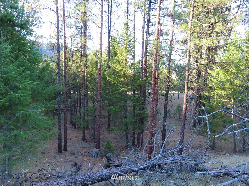 -tbd Toroda Creek Road Curlew, WA 99118 - Photo 16 of 29 Gallery Image 16