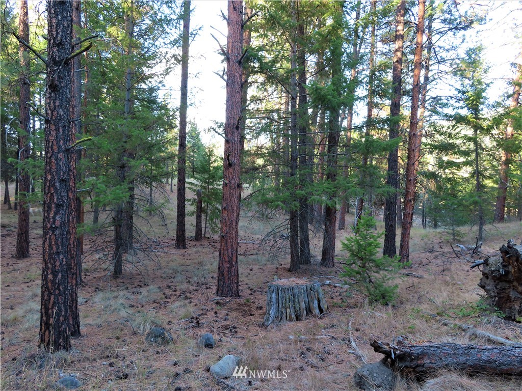 -tbd Toroda Creek Road Curlew, WA 99118 - Photo 17 of 29 Gallery Image 17