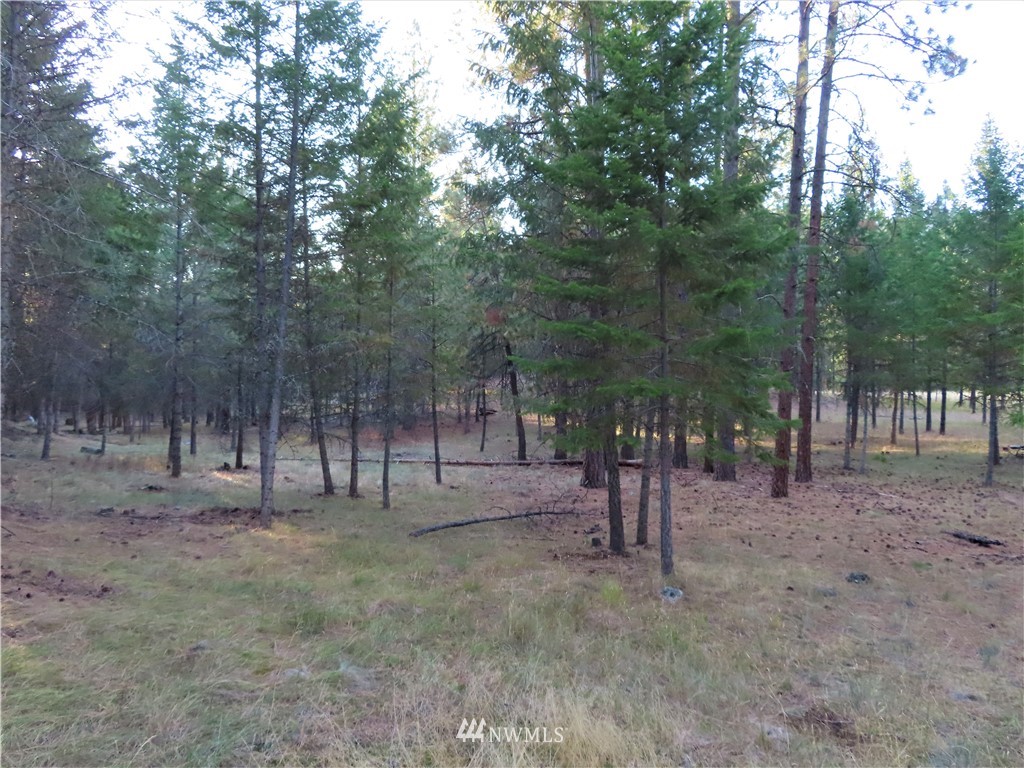 -tbd Toroda Creek Road Curlew, WA 99118 - Photo 18 of 29 Gallery Image 18